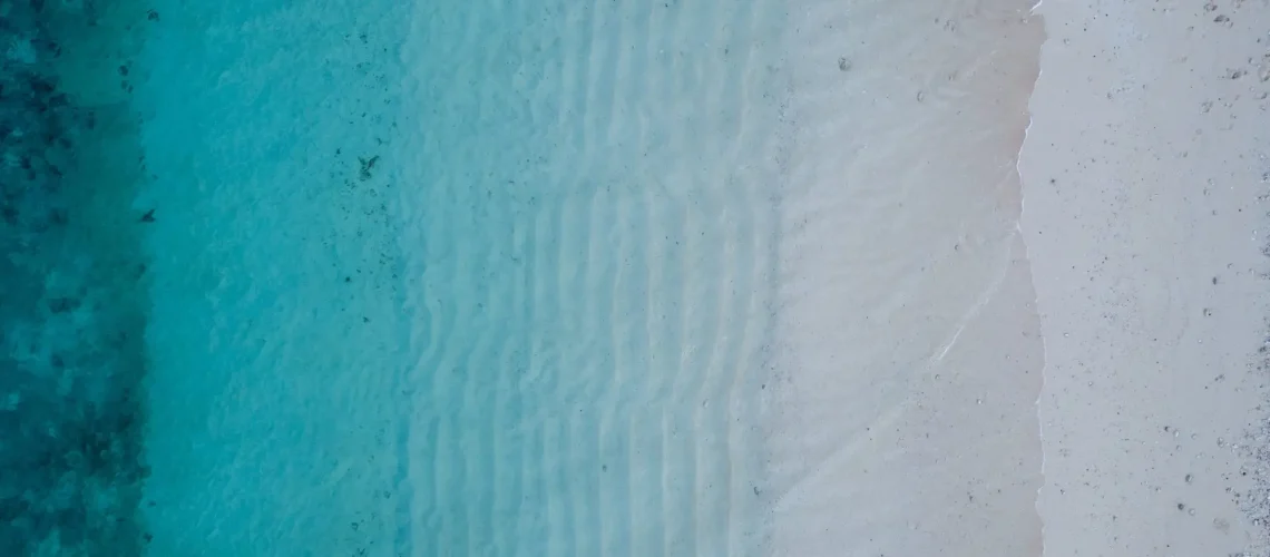 damon-hall-Dz5bJq_nEng-unsplash