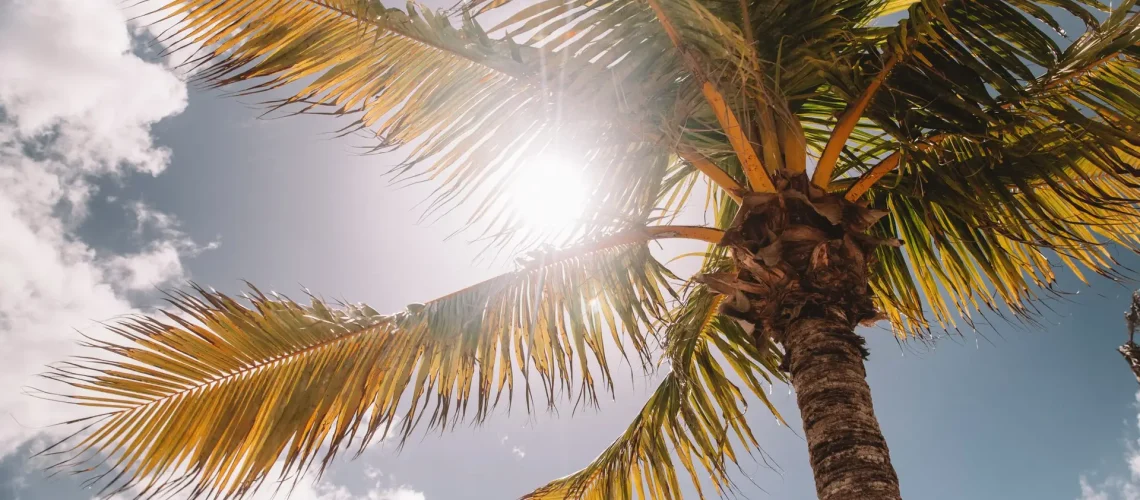 jared-rice-Tf-qtxkNisk-unsplash