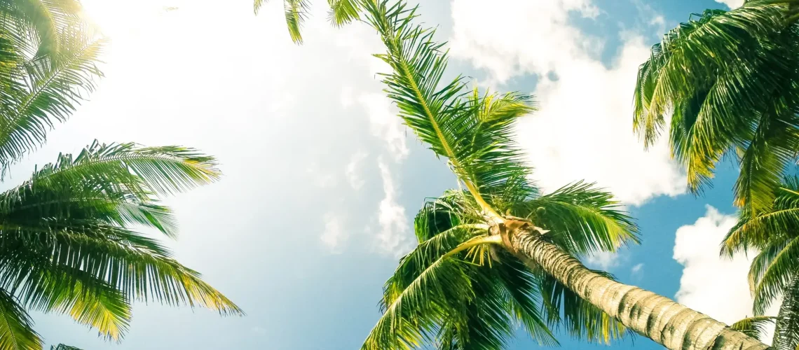 tim-foster-Sf23azHZRR4-unsplash